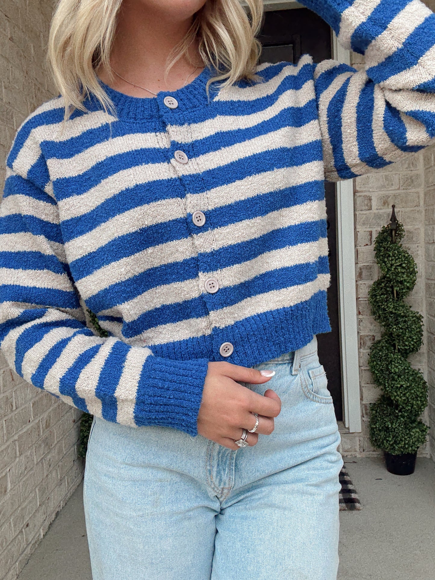 Berry Cream Cropped Sweater